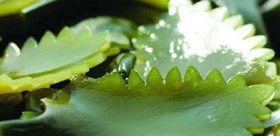 水泡出现怎么办？快速消除水泡的有效方法是什么？
