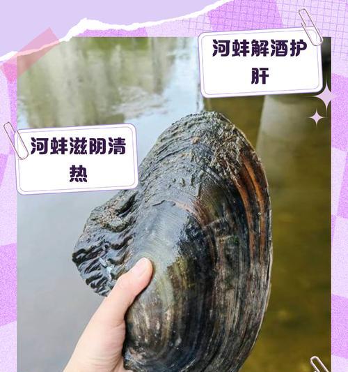 河蚌外壳处理方法是什么？详细步骤图片在哪里查看？