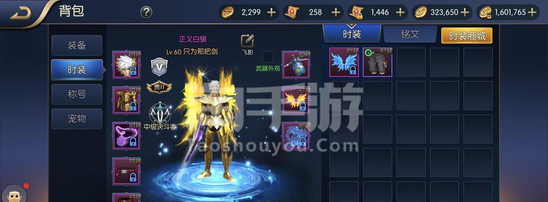 地下城狗套搭配技巧是什么?