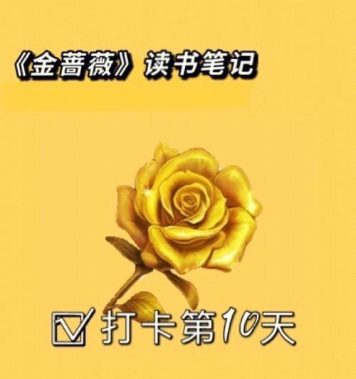cf手游礼包抽奖多少圈能抽到金蔷薇？金蔷薇礼包的获取概率是多少？