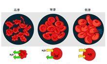 化学模拟器中如何添加钠元素?钠元素的添加步骤是什么?