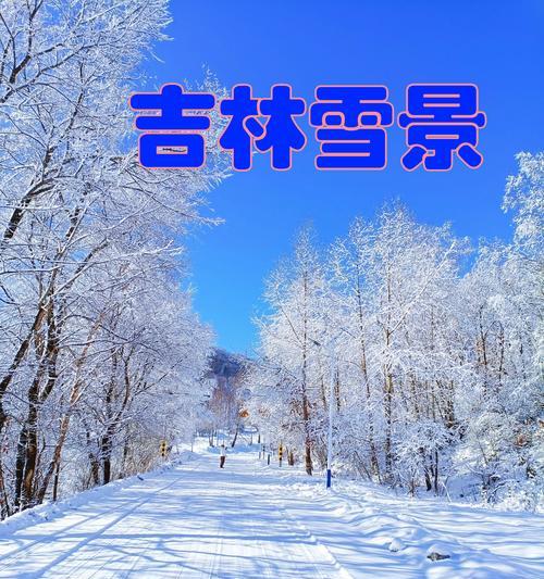 华为手机如何拍摄雪景中的树木?有哪些技巧?
