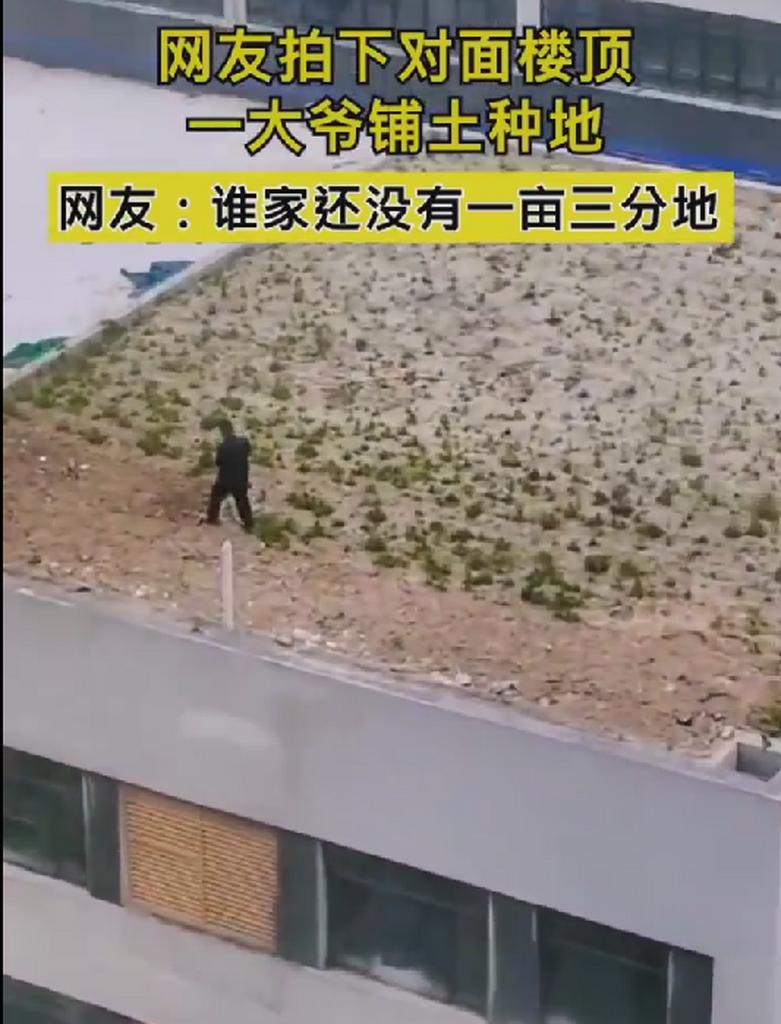 如何在天台上安全换装手机壳?换装过程中应注意什么?